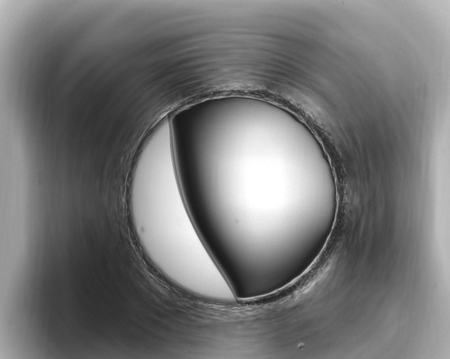 X0000096680881200802051028