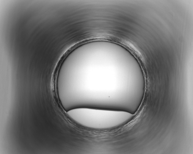 X0000096680883200802051028