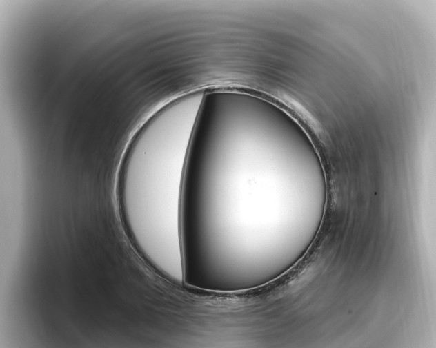 X0000096680885200802051027