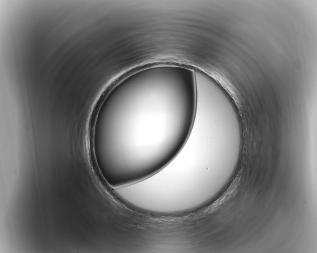 X0000096680888200802051027