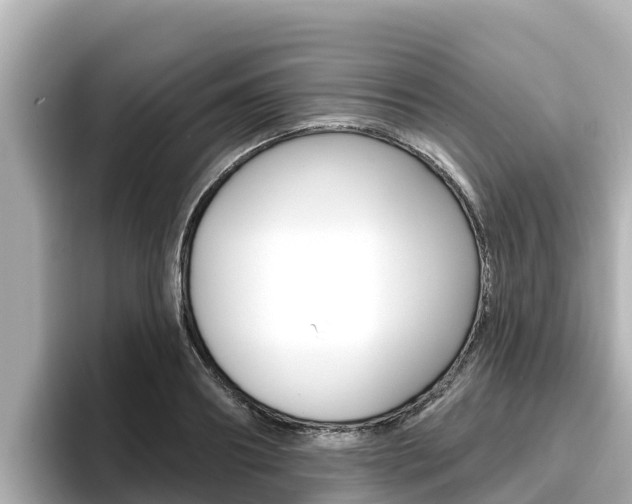 X0000096680890200802051027