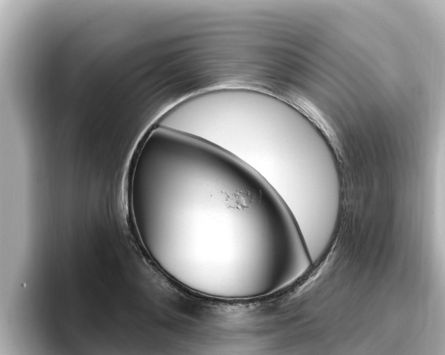 X0000096680892200802051027