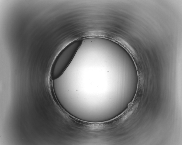 X0000096680893200802051027