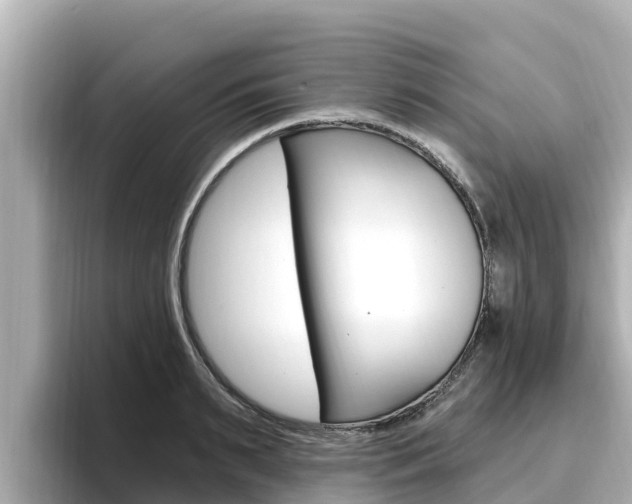 X0000096680895200802051027