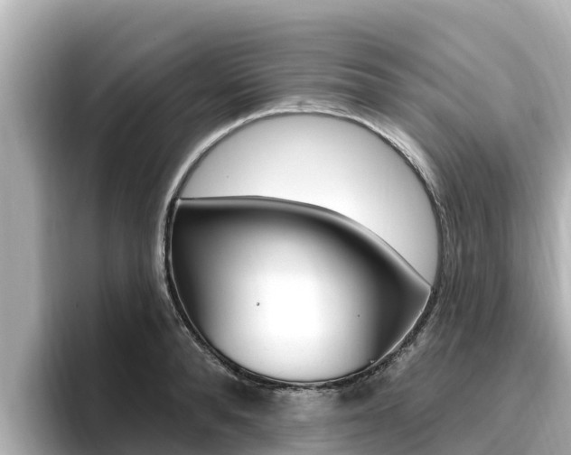 X0000096680896200802051027