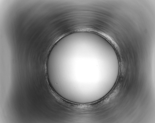 X0000096680897200802051027
