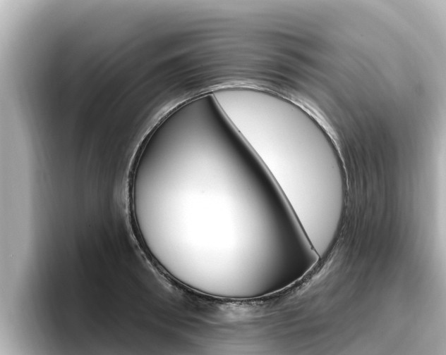 X0000096680898200802051027