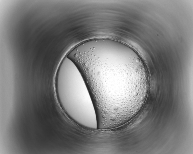 X0000096680899200802051027