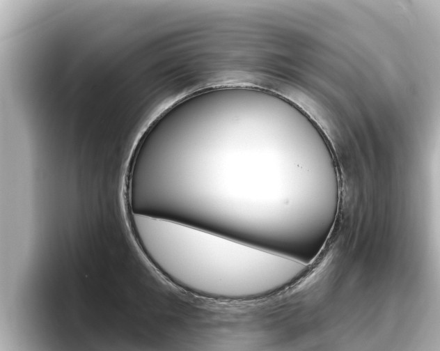 X0000096680901200802051027