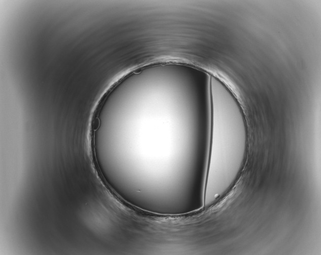 X0000096680902200802051027