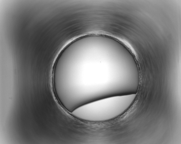 X0000096680903200802051027