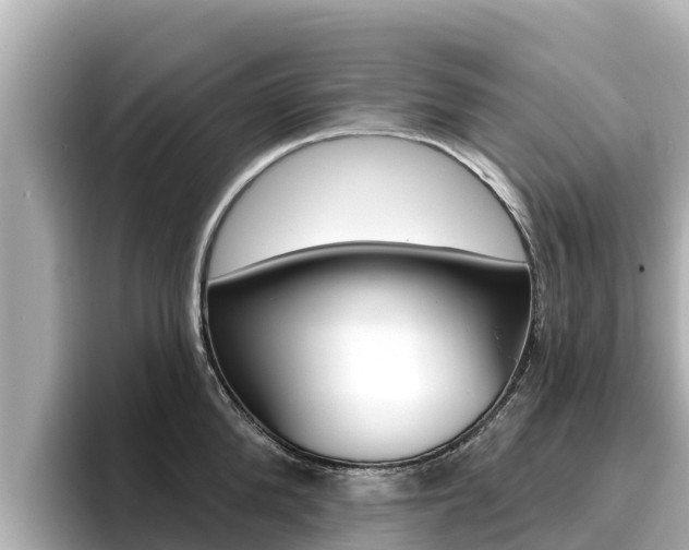 X0000096680904200802051027