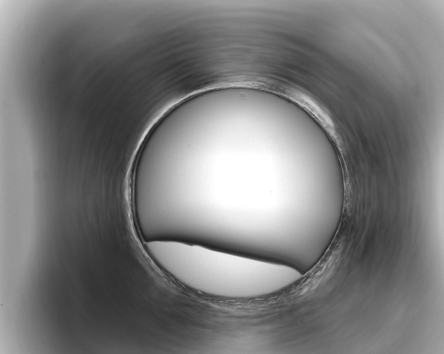 X0000096680907200802051027