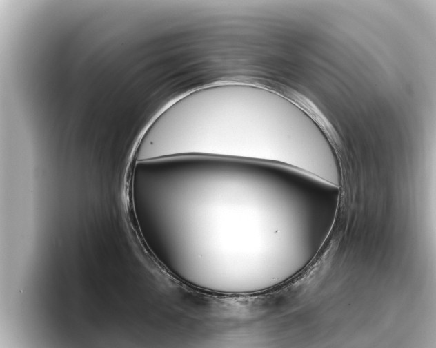 X0000096680908200802051027