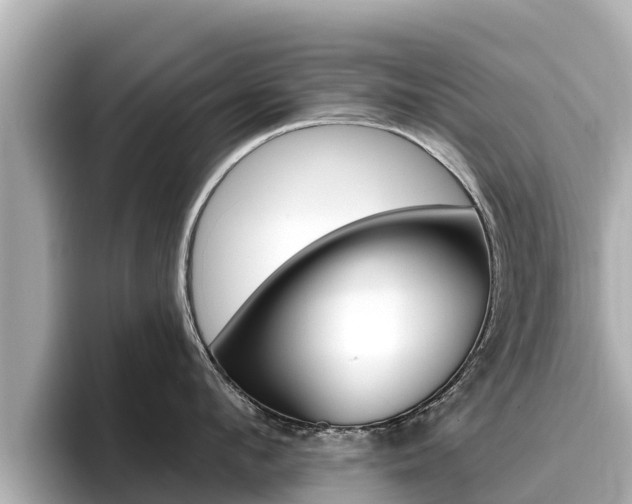X0000096680912200802051027
