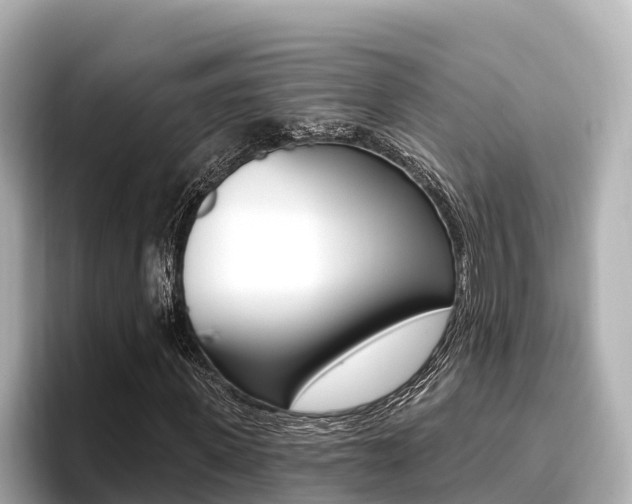X0000096680915200802051027