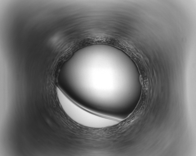 X0000096680916200802051027