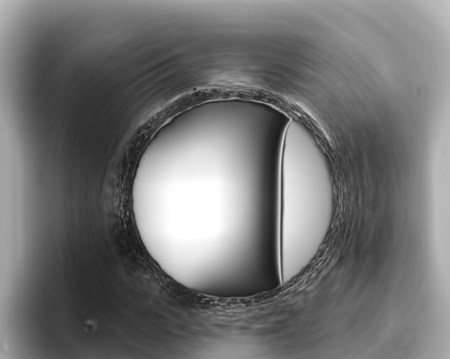 X0000096680919200802051027