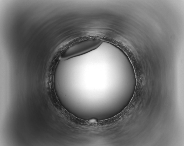 X0000096680920200802051027