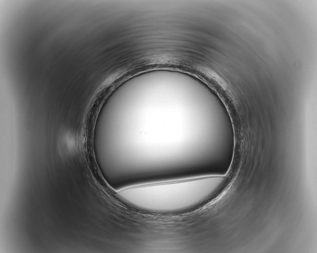 X0000096680922200802051027