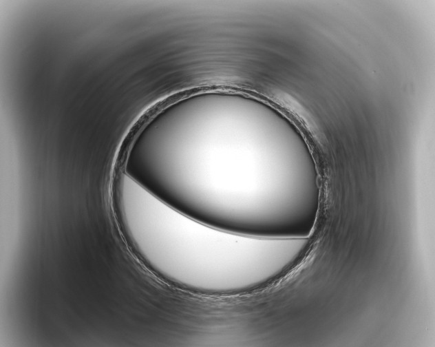 X0000096680924200802051027