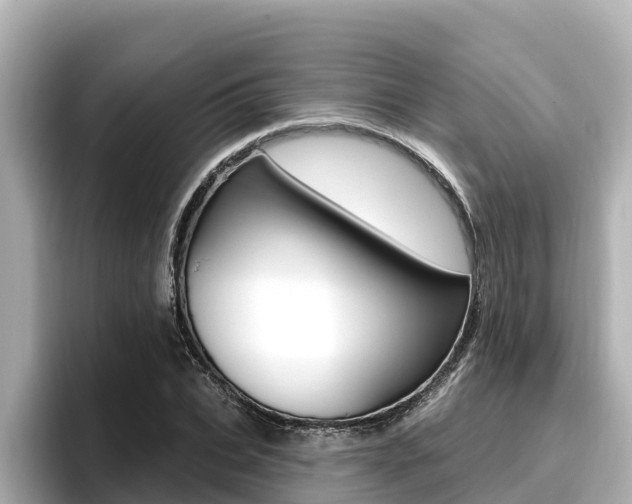 X0000096680927200802051027