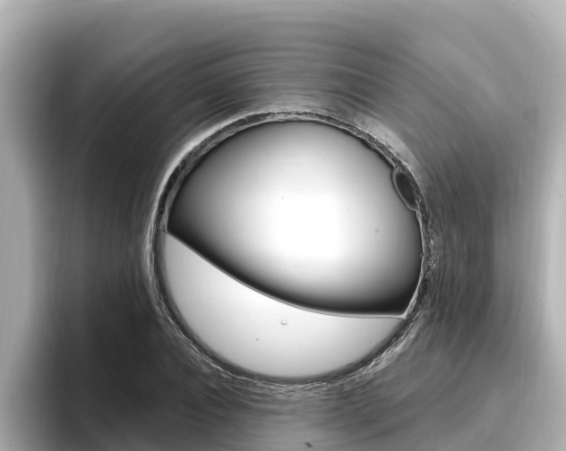 X0000096680928200802051027