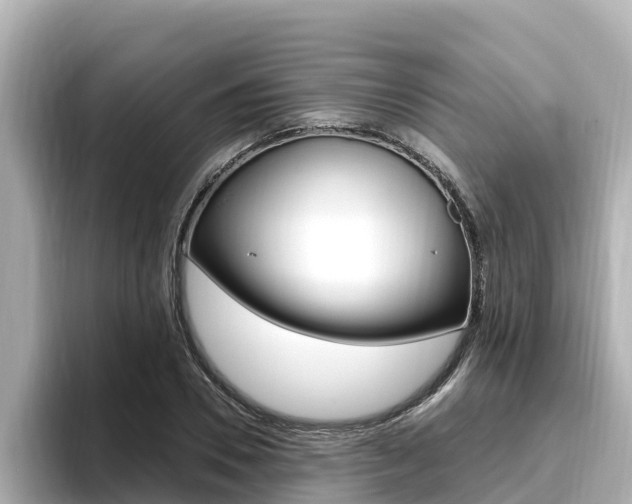 X0000096680930200802051027