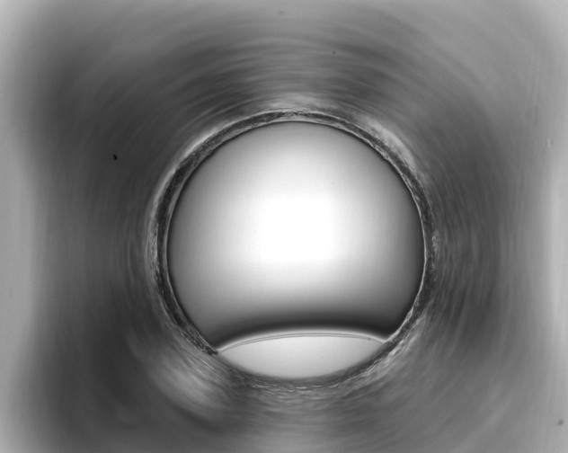 X0000096680931200802051027