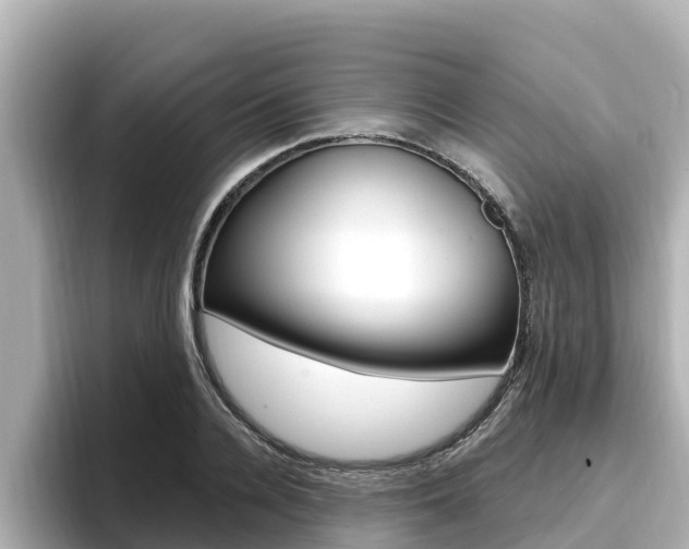 X0000096680936200802051027