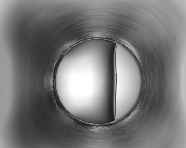 X0000096680938200802051027