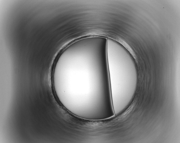 X0000096680939200802051027