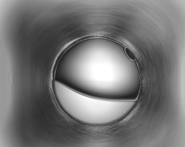 X0000096680940200802051027