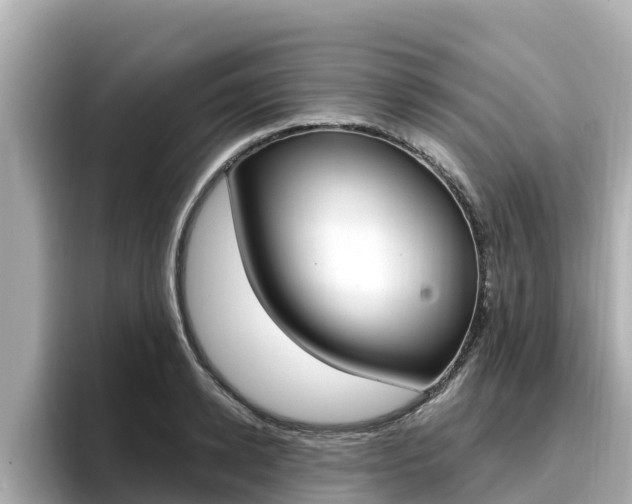 X0000096680942200802051027