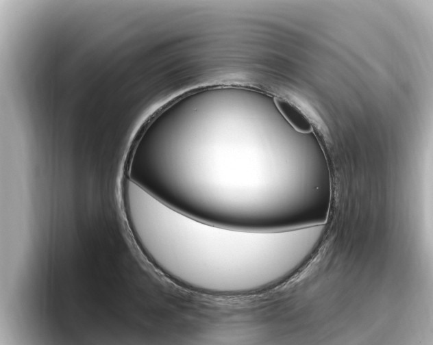 X0000096680944200802051027