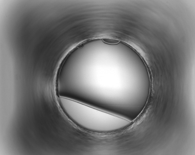 X0000096680949200802051027