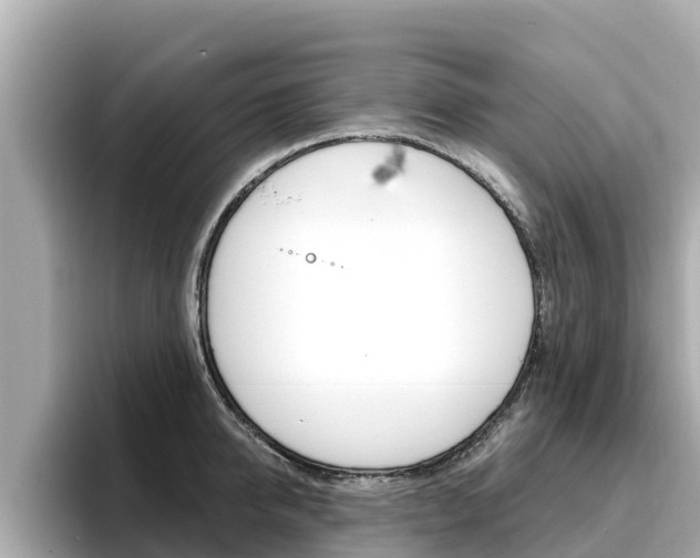 X0000096680950200802051027