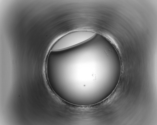 X0000096680952200802051027