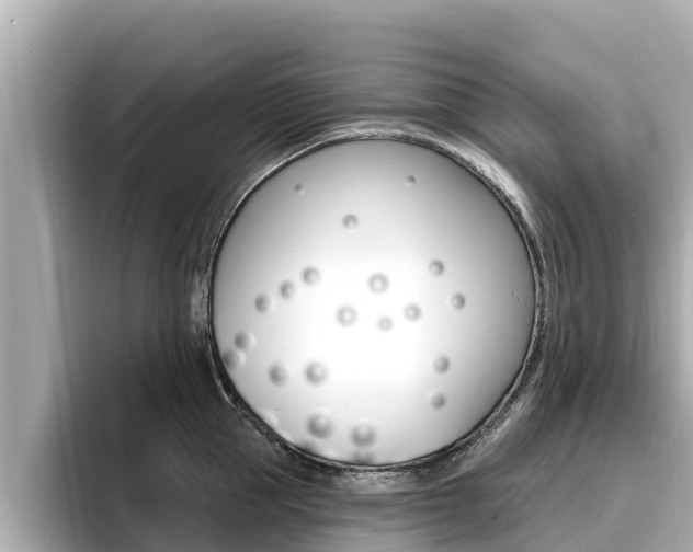 X0000096680953200802051027