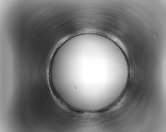 X0000096680954200802051027