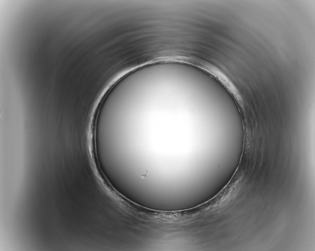 X0000096680955200802051027