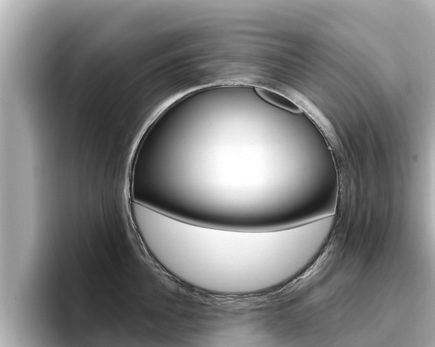 X0000096680956200802051027