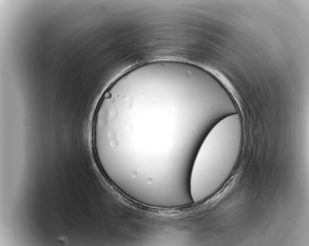 X0000096680957200802051027