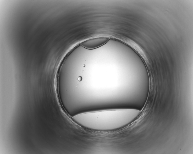 X0000096680958200802051027