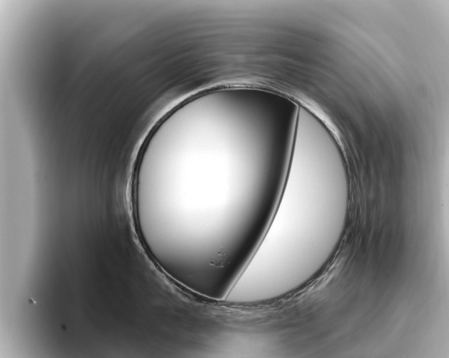 X0000096680959200802051027