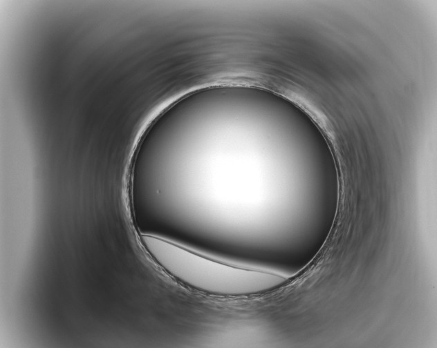 X0000096680960200802051027