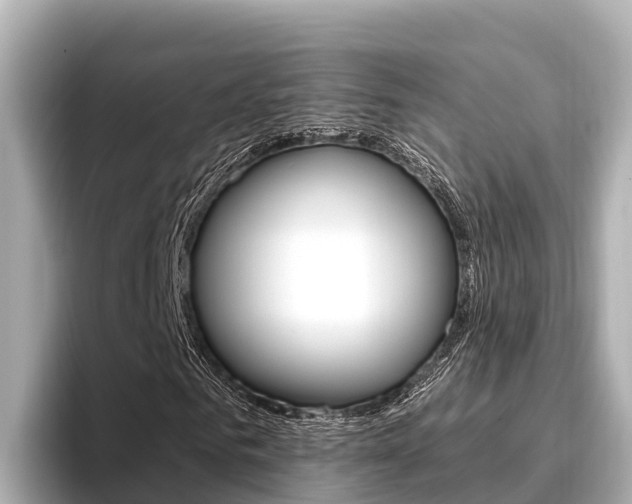 X0000096680961200802051026