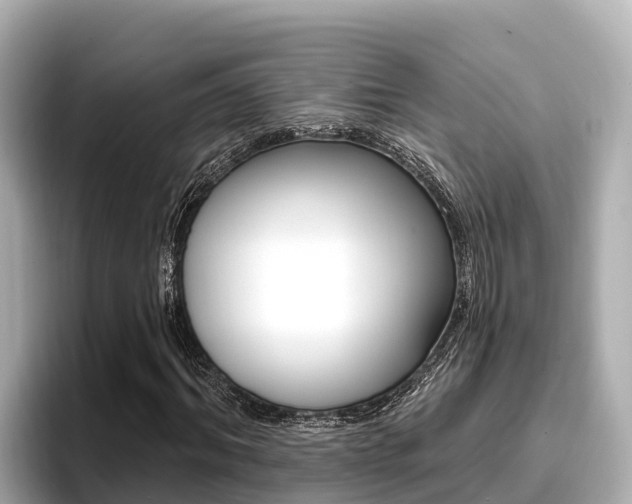 X0000096680964200802051026