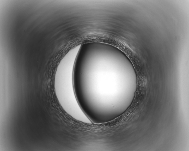 X0000096680965200802051026