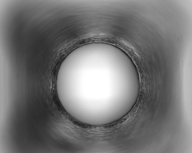X0000096680966200802051026